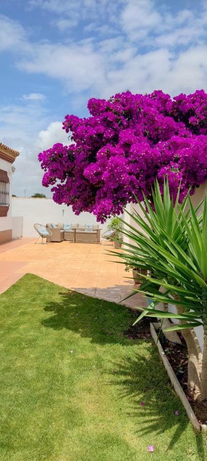Chalet Hercules La Barrosa Чиклана-де-ла-Фронтера Екстер'єр фото
